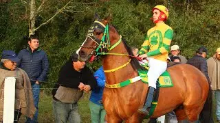 El Oro Puro - Sebastián Almendras 