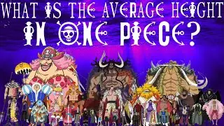 A Cyber Security Professional Calculates the TRUE AVERAGE HEIGHT of the One Piece Verse