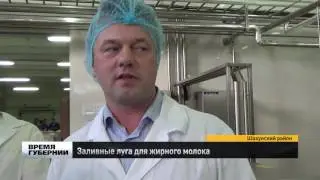 Заливные луга для жирного молока в Шахунье