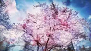 Pichuscute - Once in a Lifetime