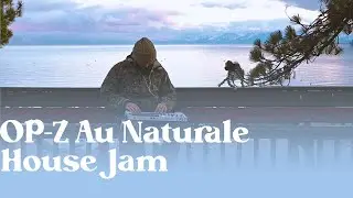 Teenage Engineering OP-Z Jam In Lake Tahoe