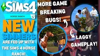 SIMMERS ARE FRUSTRATED WITH THE SIMS 4 LAGGY GAMEPLAY, BUGS, GLITCHES, + SALE ON SIMS 4 PACKS!