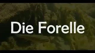 Die Forelle - The Trout : Franz Schubert D550 || Song & Lyrics (CC)