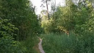 Balashikha forest walk tour | Балашиха