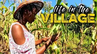 #villagelife 🌿// my typical morning in the #village 🌺