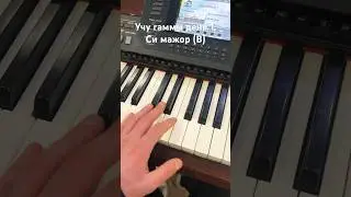 День первый: Учу гаммы Си мажор (В) #piano #musiclife