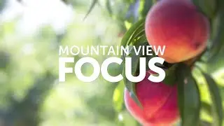 FOCUS on Summeripe