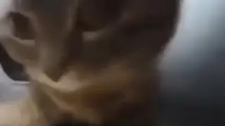 МОМЕНТИКИ В со2!