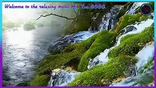 Relaxing Sleep Music | @Ton8888