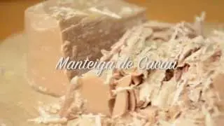 Receita Chocolate Vivo
