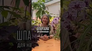 Еще больше интересного в моем тг t.me/spottykit