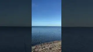 Таманский залив