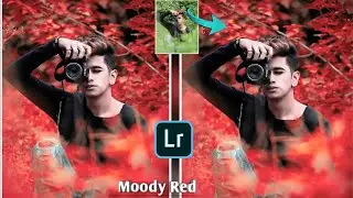New Snapseed Red Colour Effect Trick | Snapseed Background Colour Change 2020
