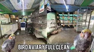 Aj ham na Bird aviary ko wash krdiya👍 Medicine ka spray bhi kiya ab hamara bird infection sa protect