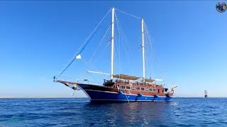 Экскурсия на яхте, часть 2, #египет #шармэльшейх