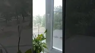 2 июня 2024 г.
