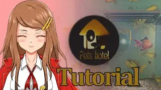 Taking care of your pets when you abandon them on vacation! - Pets Hotel