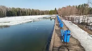 на 31 марта    жидкая вода