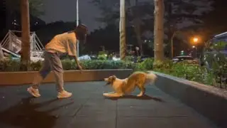 The girl dances with her dog#animals #dog #dance