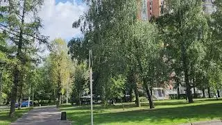 Москва. Аллея на Новочеремушкинской улице. Август 2024 