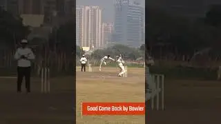 Six Over Cover  #cricketshorts #cricketer #cricket