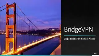 BridgeVPN Single Site Secure Remote Access