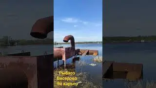 половил на 5м карьере #бисерово #fishhacker