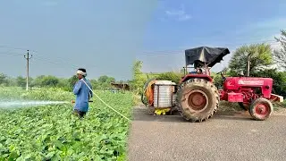 मूंग में बहुत बड़ा नुकसान हो गया 🐛🥲 || Mahindra 585 power plus working with fertilizer pump