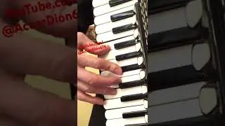 Rose Rosse #MassimoRanieri #italy #AccorDion #fisarmonica #italianmusic #italianmusic