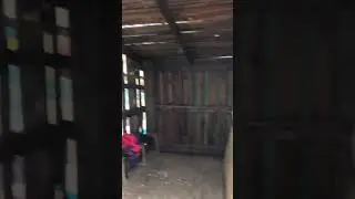 Камчатка банные