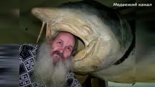The top 5 biggest fish .River monsters of Europe and Asia