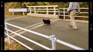 Lakad lakad tayo dito sa isang park sa Morioka, Japan🇯🇵🚶