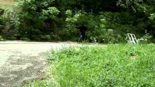 duel airsoft