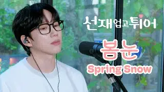 10CM / 십센치 - 선재 업고 튀어 OST '봄 눈 / Spring Snow'