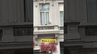 #shortsvideo