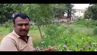 Telangana Botanical Garden (Part - 1)