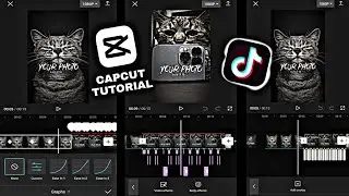 CapCut Edit | Tiktok | Graphs | Tutorial