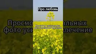 Влюбленные люди испытывают зависимость #психология #факты