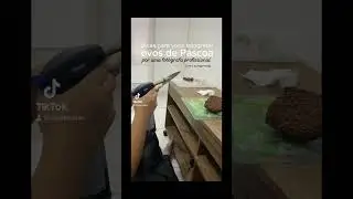 7 de fevereiro de 2024