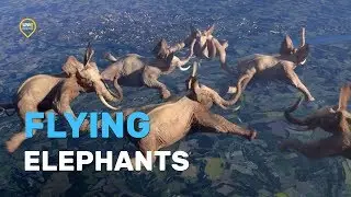 Flying Elephants