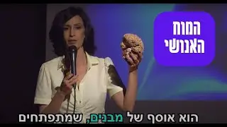 המוח האנושי - קילו וחצי של 90 מילארד נוירונים קשורים בטריליוני קשרים ד"ר ליאת יקיר
