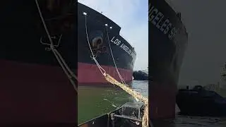 LOS ANGELES SPIRIT Mooring Operation! ⚓️