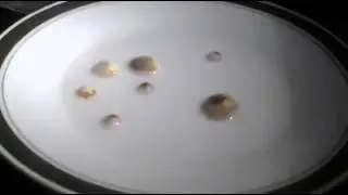 1548946 10203447890823591 537743397 n