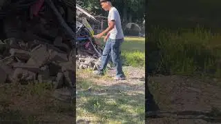 Brave Hen Lunges at a Guy Attempting to Grab Her Chick