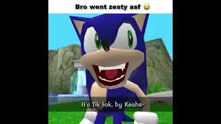 Sonic The zesty Hedgehog 