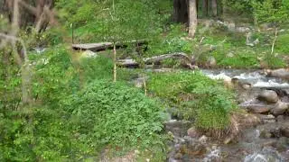 речка холодная