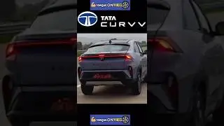 TATA CURVV ROAD PRESENCE #shorts TATA CURVV 2024 AMAZING LOOKS @torqueonwheel8330
