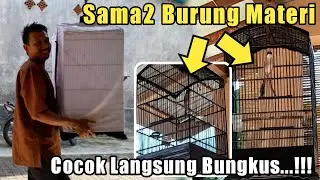 HELP CHOOSE FRIENDS | MR ARDY BONDOWOSO'S INTENTION TO BUY SCENDET BIRDS FOR THE 3rd TIME