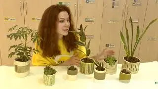 Одуванчики. Рисуем легко и быстро.