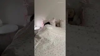 🌸6am asmr mk morning routine ✨ 